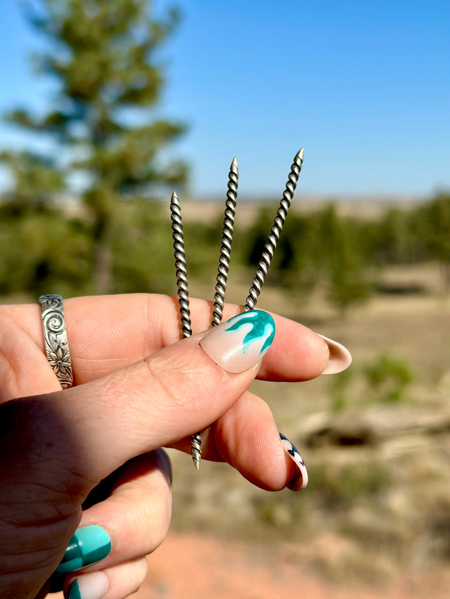 Range Rider Picks